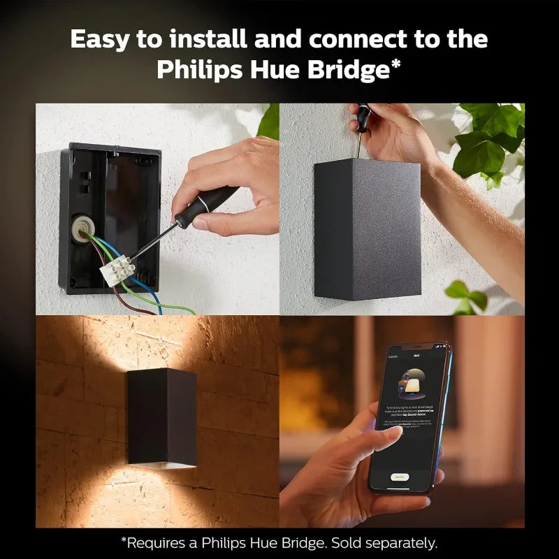 Resonate Outdoor Smart Wall Light Black White and Color Ambiance LED Color Changing Light 2 Pack Requires Hue Bridge Control