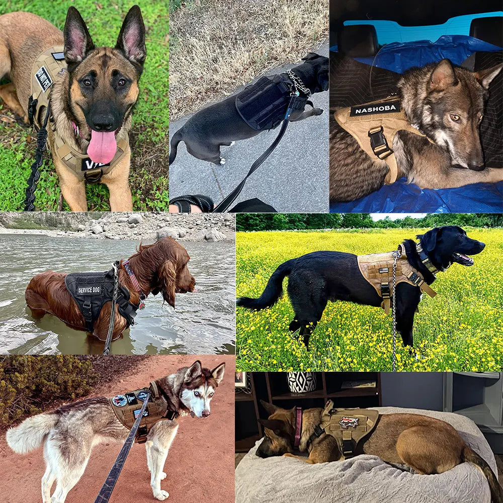 Military Large Dog Harness Collar Leash Bags Patches Set