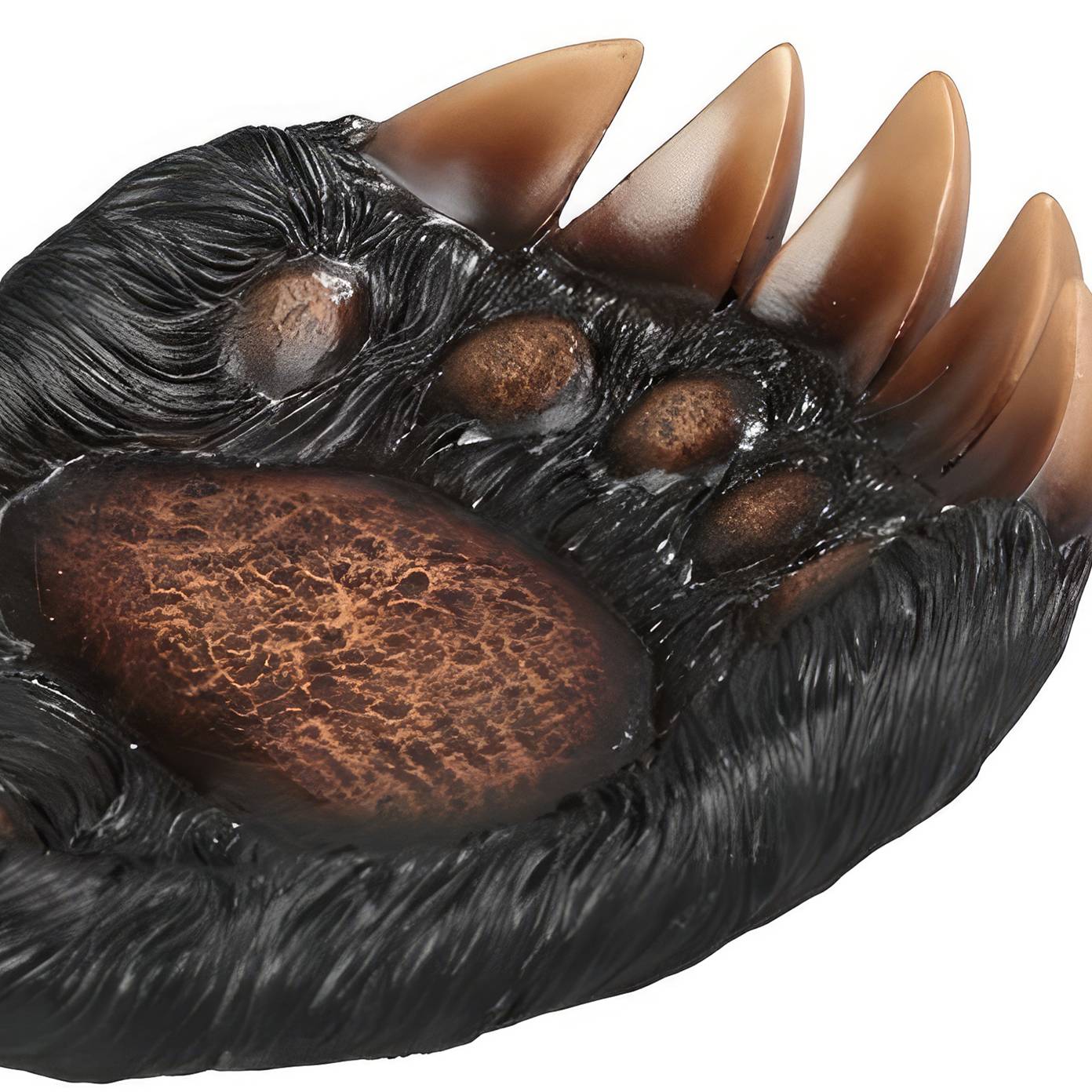 6.75"W Bear Paw Coin/Candy Dish Statue Sculpture Ornament Decoration Home/Room Decor and Unique Gift Ideas for Housewarming, Holidays and Birthdays Great Collectible Addition