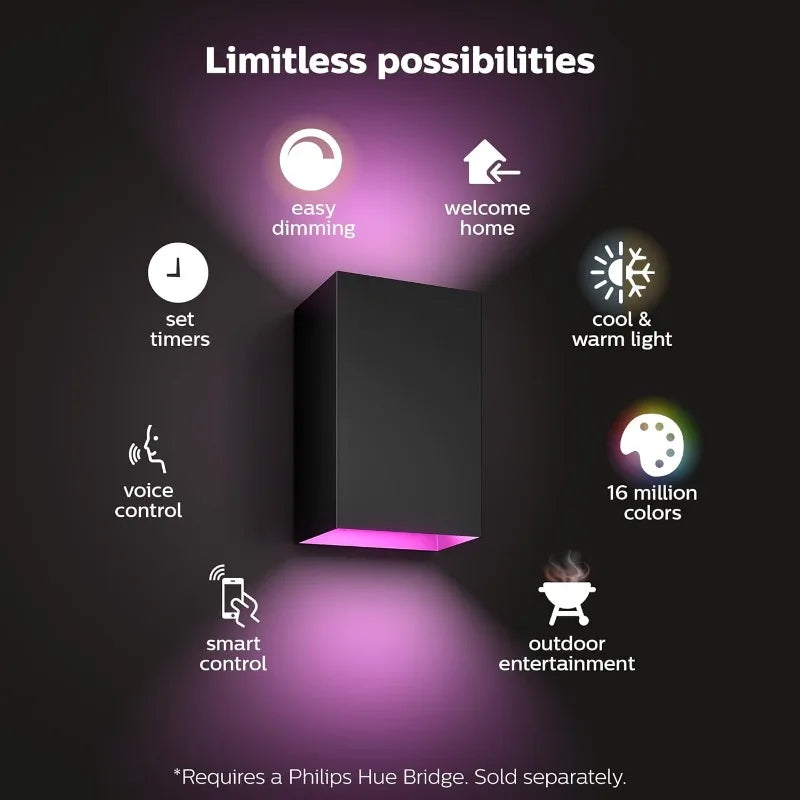Resonate Outdoor Smart Wall Light Black White and Color Ambiance LED Color Changing Light 2 Pack Requires Hue Bridge Control